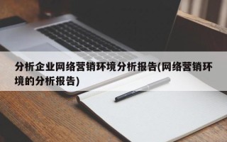 分析企業(yè)網(wǎng)絡(luò)營銷環(huán)境分析報告(網(wǎng)絡(luò)營銷環(huán)境的分析報告)