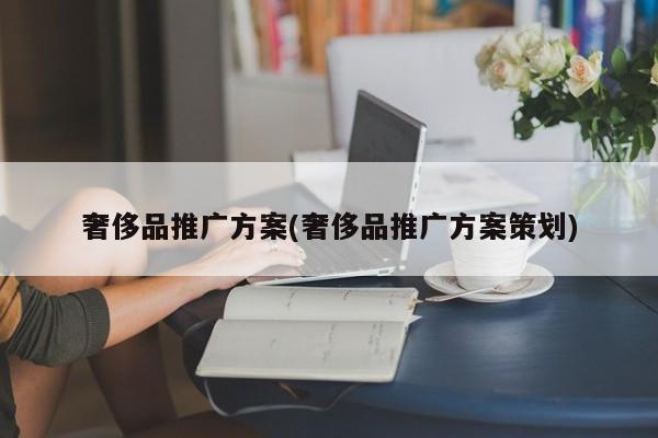 奢侈品推廣方案(奢侈品推廣方案策劃)