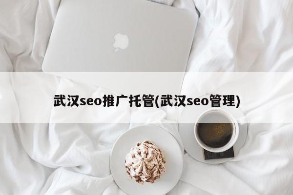 武漢seo推廣托管(武漢seo管理)