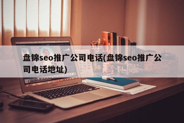 盤錦seo推廣公司電話(盤錦seo推廣公司電話地址)