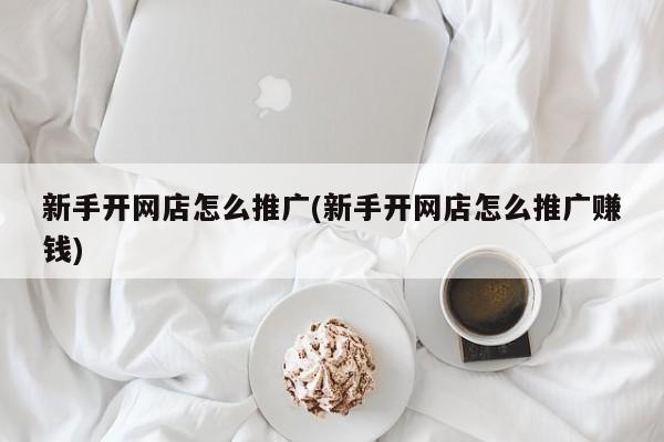 新手開網(wǎng)店怎么推廣(新手開網(wǎng)店怎么推廣賺錢)