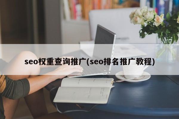 seo權(quán)重查詢推廣(seo排名推廣教程)