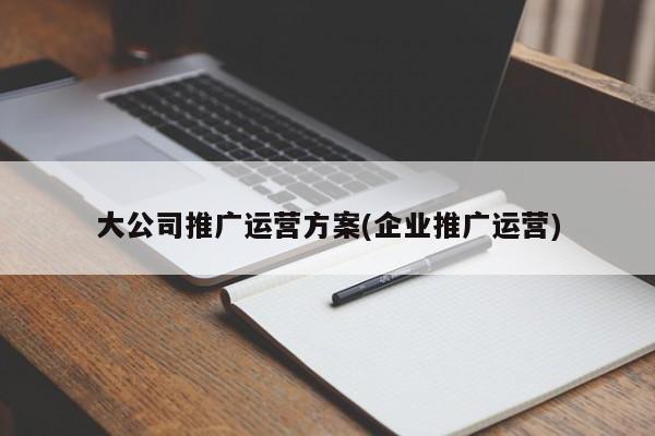 大公司推廣運營方案(企業(yè)推廣運營)