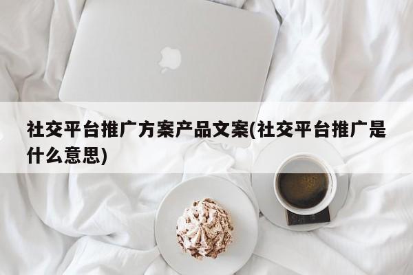 社交平臺推廣方案產(chǎn)品文案(社交平臺推廣是什么意思)