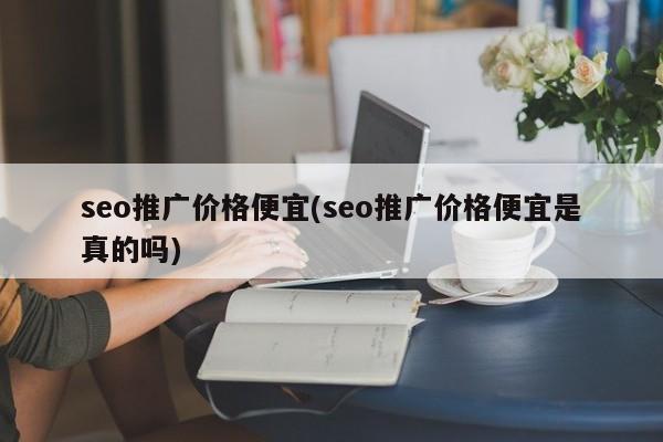 seo推廣價(jià)格便宜(seo推廣價(jià)格便宜是真的嗎)