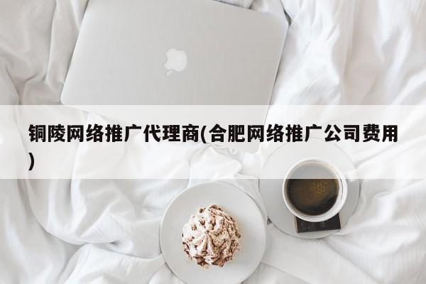 銅陵網(wǎng)絡推廣代理商(合肥網(wǎng)絡推廣公司費用)