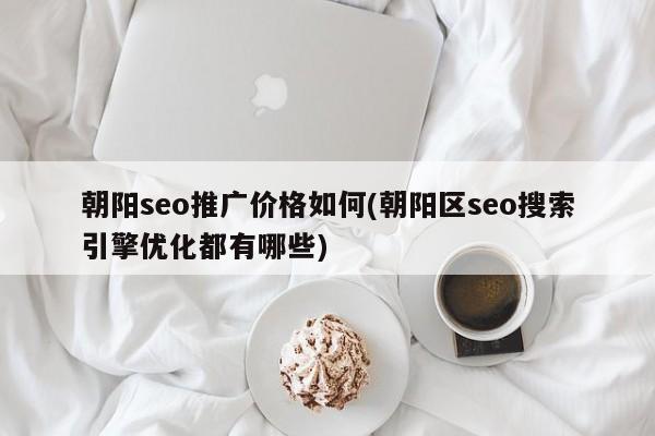 朝陽seo推廣價格如何(朝陽區(qū)seo搜索引擎優(yōu)化都有哪些)