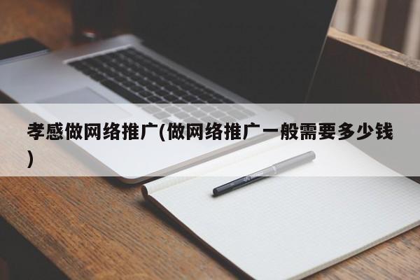 孝感做網(wǎng)絡推廣(做網(wǎng)絡推廣一般需要多少錢)