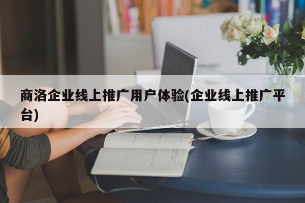 商洛企業(yè)線上推廣用戶體驗(企業(yè)線上推廣平臺)